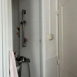 Tanglin Park (D10), Condominium #557817321